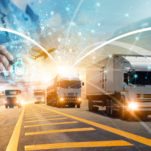 logistica y operacion web